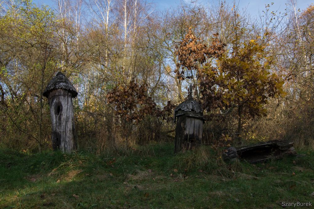 Zapomniany skarb Mazowsza: opuszczony skansen w Petrykozach 17