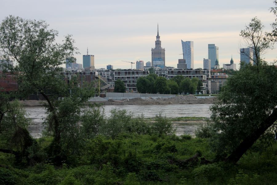 Zielony Spacer z rozpoznawaniem roślin jadalnych