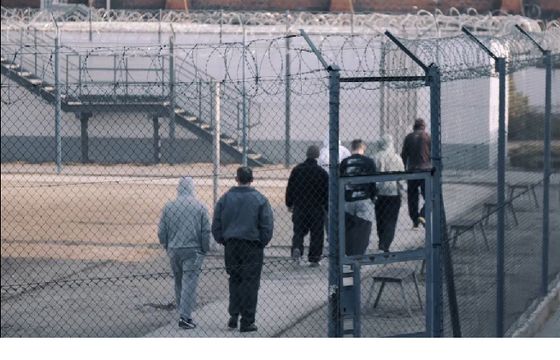 „Dożywotniacy” - nowy program od 8 maja w CI Polsat. Mikołaj Lizut producentem