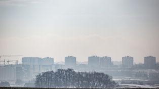 Największe takie badanie w historii. Co Polacy wiedzą o smogu?