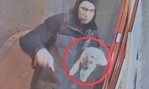 Była już noc. Niesie się ujęcie. W rękach trzymał pieska