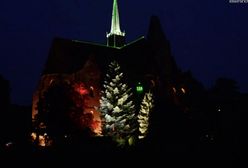 Wrocław. Iluminacje w Ogrodzie Botanicznym aż do Walentynek. Zachwycają mieszkańców