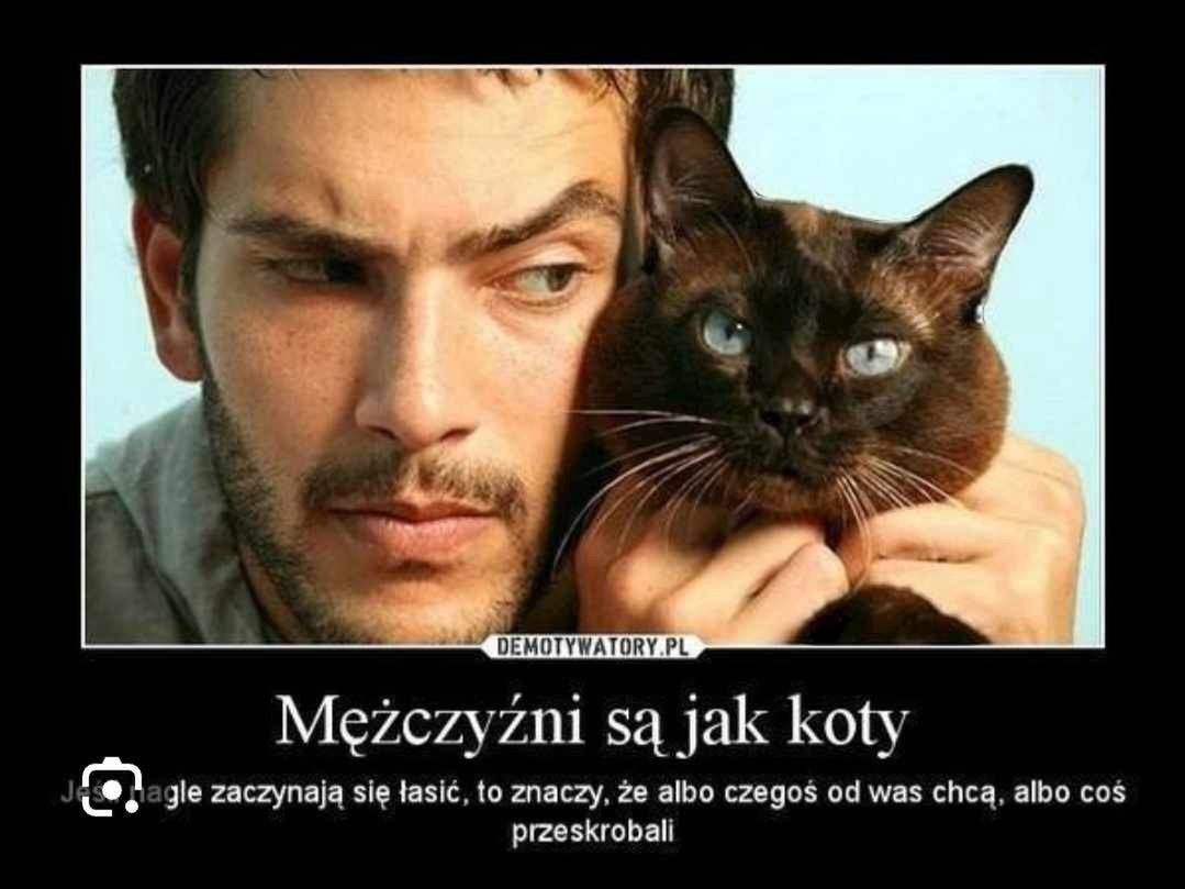 Dzień Chłopaka, memy