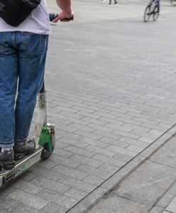 Psy zaatakowały chłopca na hulajnodze. Dziecko spadło do potoku