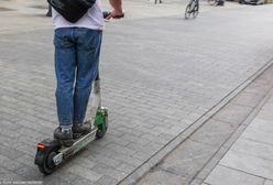 Psy zaatakowały chłopca na hulajnodze. Dziecko spadło do potoku