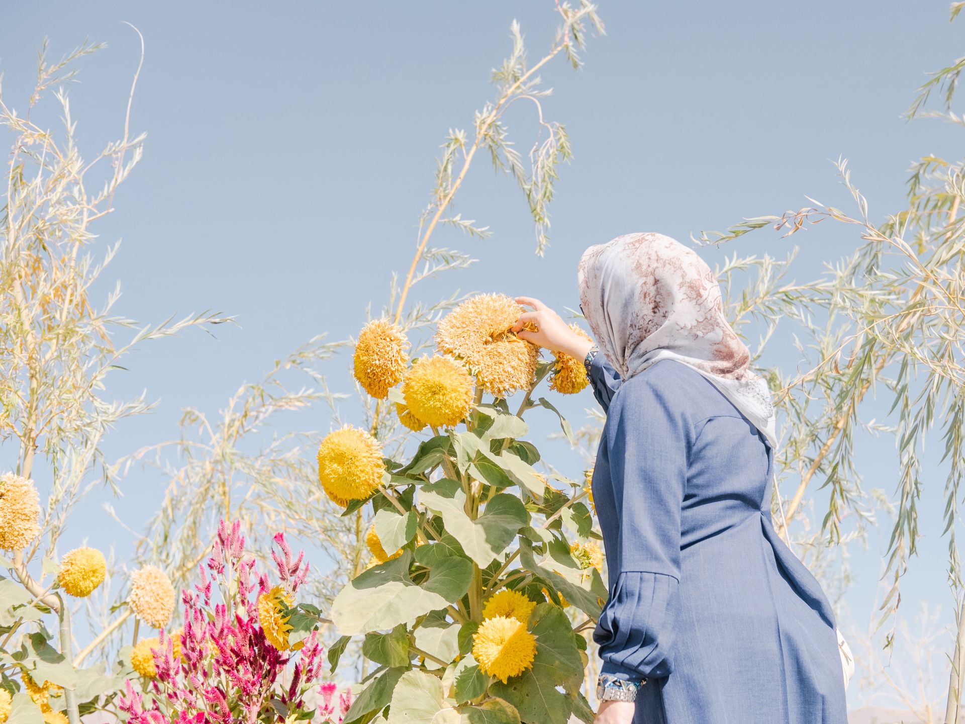 Sony World Photography Awards 2020 - znamy finalistów 3