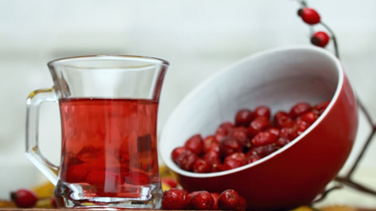 Rosehip tea tea full of vitamins and bowl with dried rosehips.Branches with fresh rosehips on a wood table.svehlik