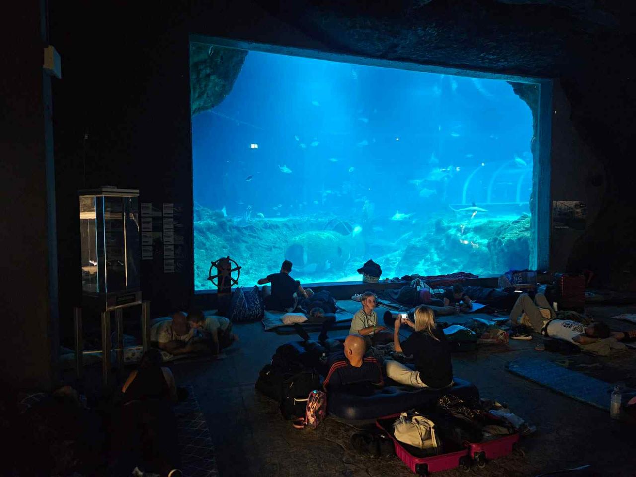 Magiczna noc w Orientarium. Spałam w tunelu oceanicznym