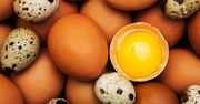 Rodzaje jajek i ich właściwości