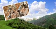 Pyszczek przypomina pluszowego misia. Oto tajemniczy ssak z gór Tien Shan