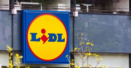 Ostatni dzień promocji w Lidlu. Schab za 9,99 zł. To nie koniec
