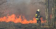 Biebrzański Park Narodowy w płomieniach. Strażakom walczącym z żywiołem brakuje sprzętu