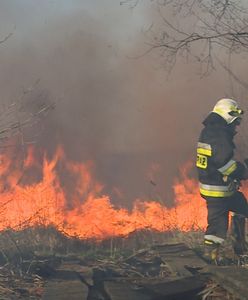 Biebrzański Park Narodowy w płomieniach. Strażakom walczącym z żywiołem brakuje sprzętu