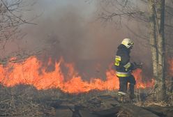 Biebrzański Park Narodowy w płomieniach. Strażakom walczącym z żywiołem brakuje sprzętu