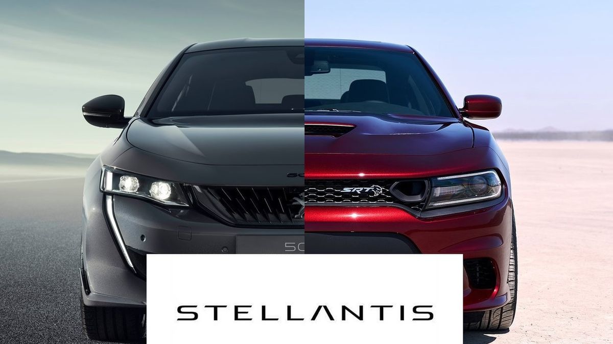 Nazwa nawiązuje do gwiazd.