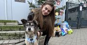 Konin: Luis adoptowany! Po latach w schronisku znalazł miłość i bezpieczny dom