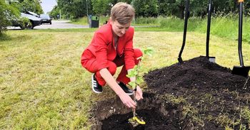 Dąb Bartek z Zagnańska znów ojcem. Syn dostał imię Kubuś i mieszka w Parku Baranowskim w Kielcach