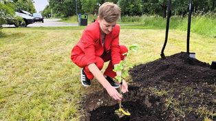 Dąb Bartek z Zagnańska znów ojcem. Syn dostał imię Kubuś i mieszka w Parku Baranowskim w Kielcach
