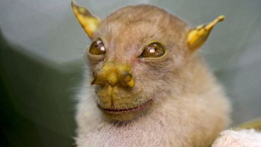 Najlepsze fotograficzne newsy 2010 roku według National Geographic 1