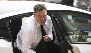 Elon Musk ma nową dziewczynę. "Poleciała na intelekt" najbogatszego człowieka świata
