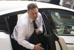 Elon Musk ma nową dziewczynę. "Poleciała na intelekt" najbogatszego człowieka świata