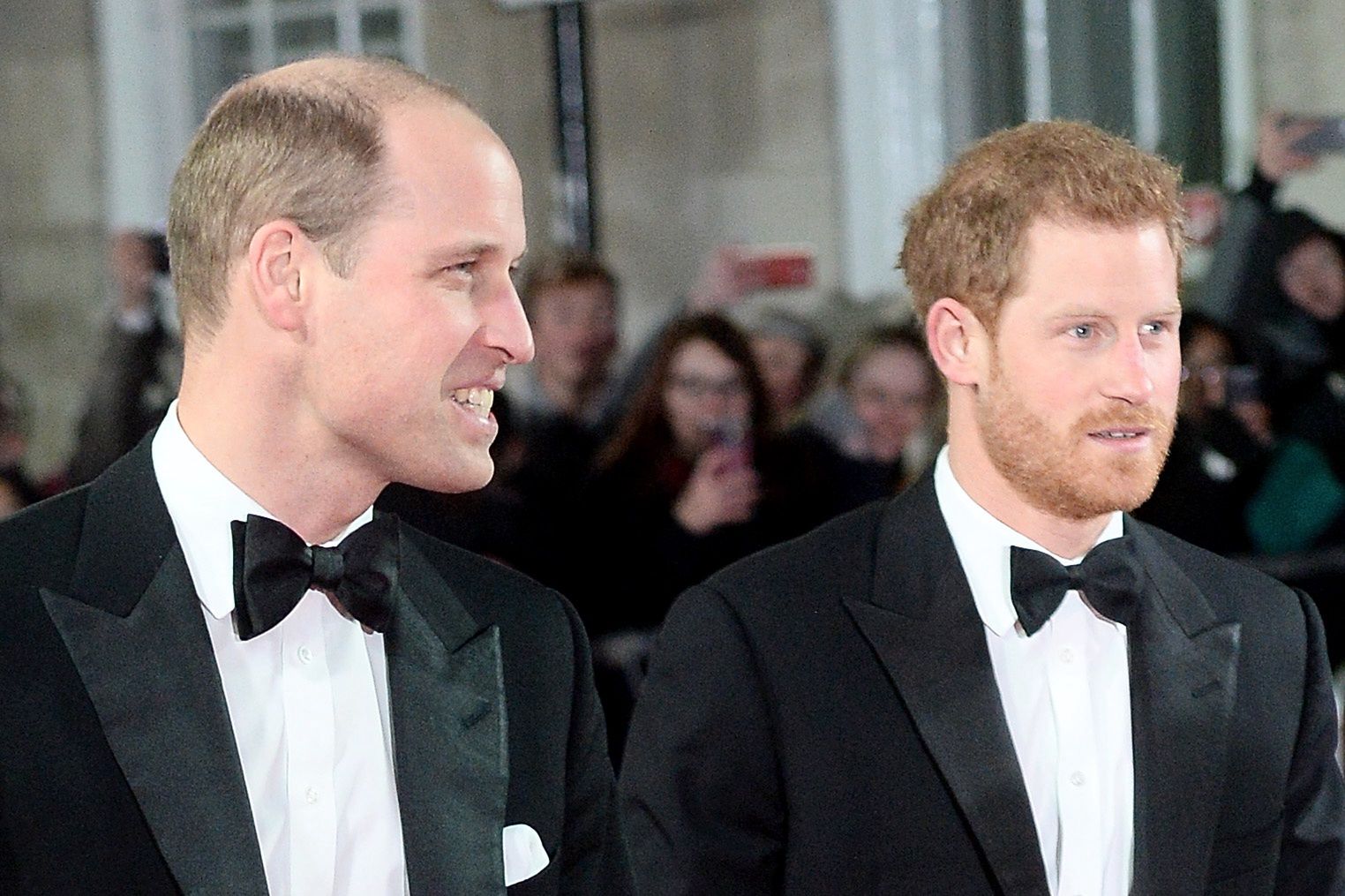 Książę Harry i książę William
