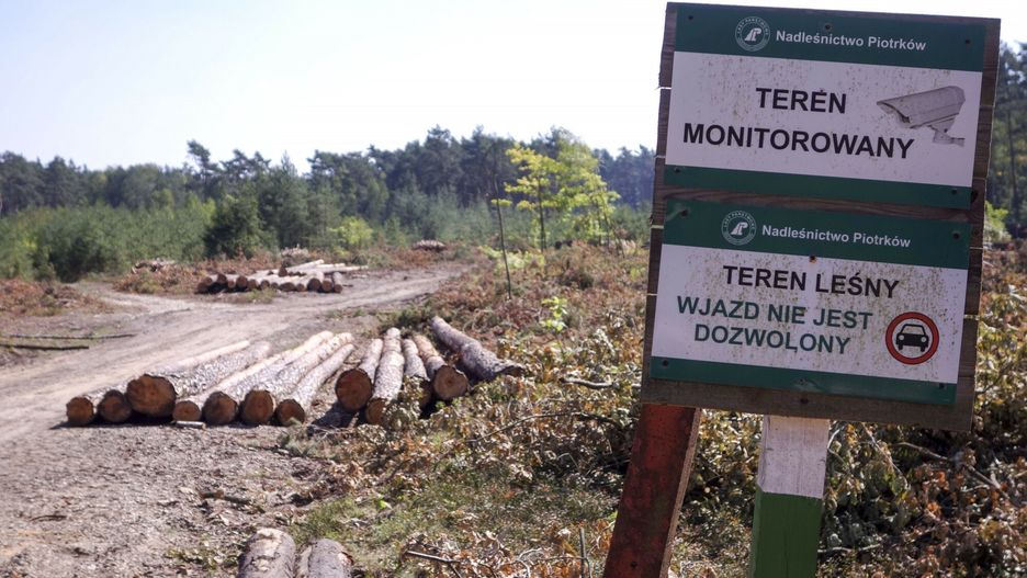 Jak ujawnił resort klimatu, przez ponad 6 lat miało miejsce ponad 2 tys. transakcji nieruchomości Lasów Państwowych