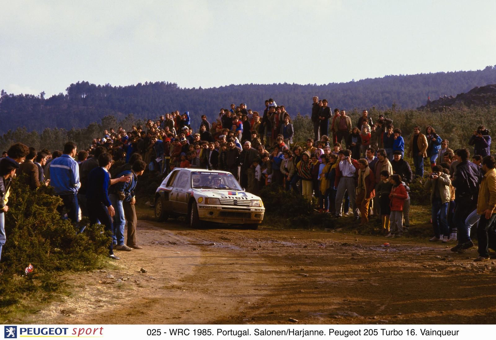 Peugeot 205 turbo 16 grupy B