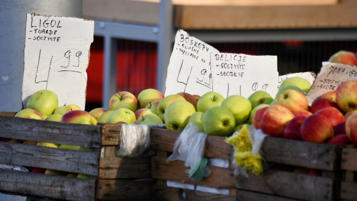 Lokalny Ryneczek w Poznaniu
Fot. Karolina Adamska/East News, Poznan, 24.02.2024. Ryneczek w Poznaniu. n/z Jablka
Karolina Adamska