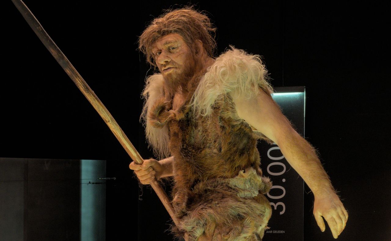 Nowe badania zmieniają ich obraz. Co naprawdę jedli neandertalczycy?