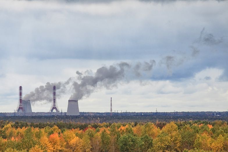 "Wspólnota zakłada sobie pętlę na szyję". Minister: Chiny w rok zbudowały tyle elektrowni węglowych, ile ma cała Unia