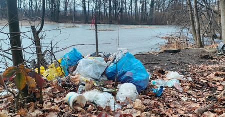 Wynosili pełne wory. Leśnicy się wściekli. Od razu dodali zdjęcia
