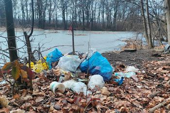 Wynosili pełne wory. Leśnicy się wściekli. Od razu dodali zdjęcia