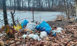 Wynosili pełne wory. Leśnicy się wściekli. Od razu dodali zdjęcia