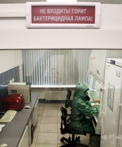 Rosja. Pierwszy przypadek przeniesienia wirusa AH5N8 na ludzi. Sprawa w WHO