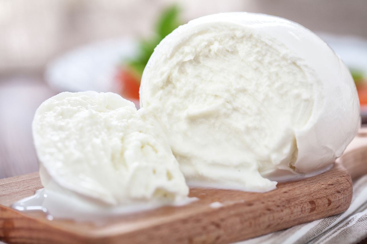 Recipe for homemade mozzarella.