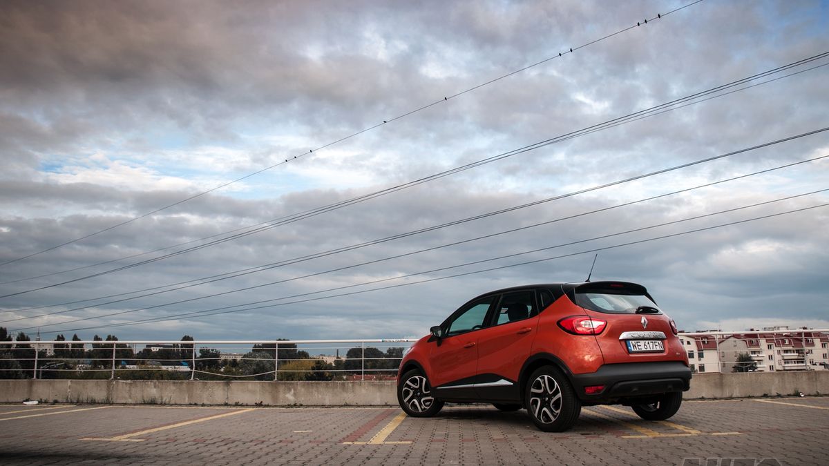 Zdjęcie ilustracyjne do artykułu