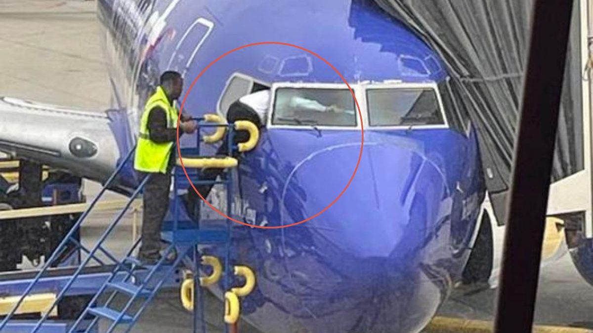 Zdjęcie pokazujące całe zdarzenie 