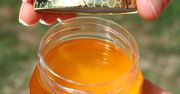 Czy miód może się zepsuć? Tak, a rozpoznasz to po zaskakującym szczególe