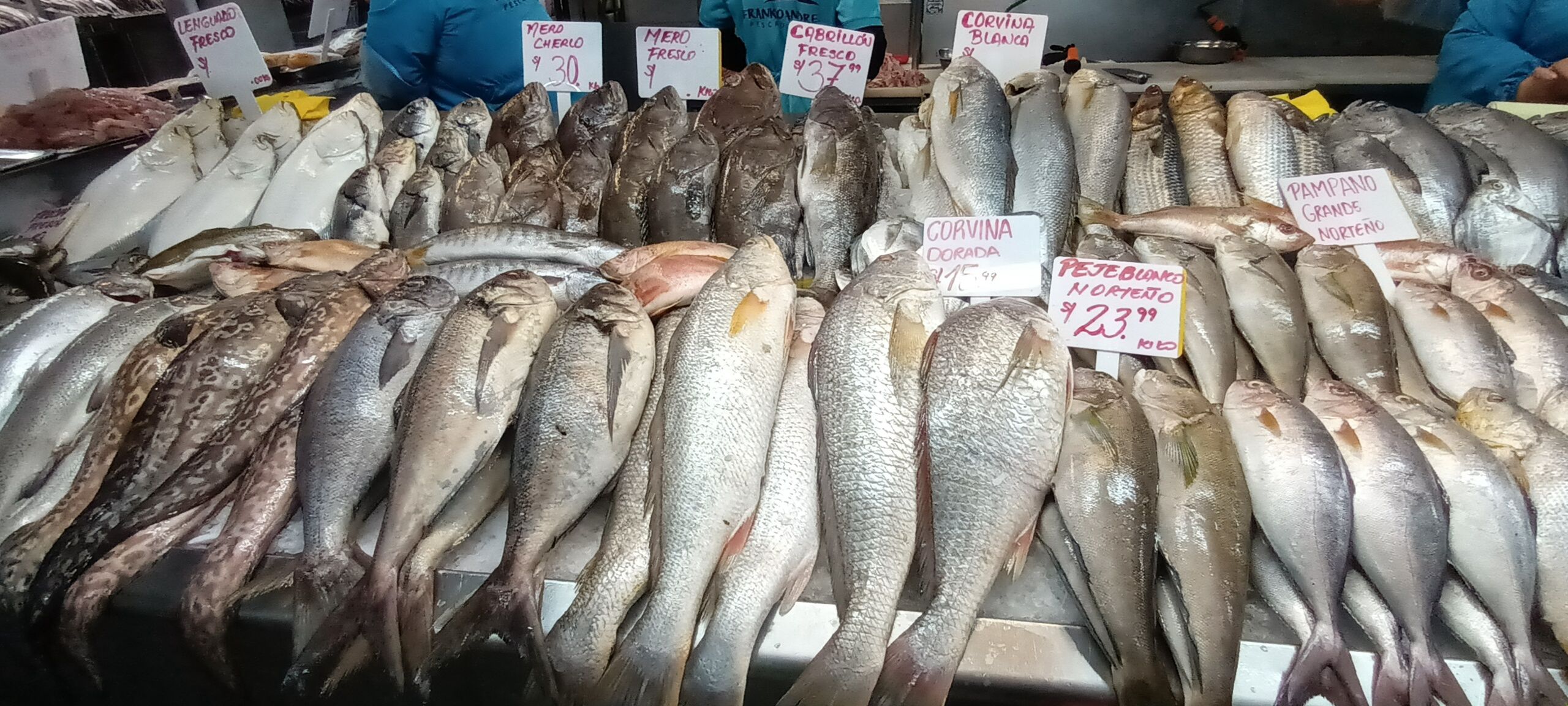 Ryby w markecie