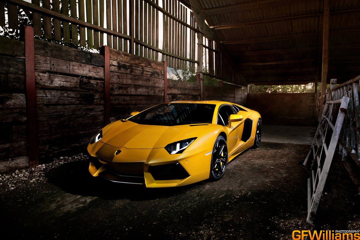 GF Williams - Lamborghini Aventador