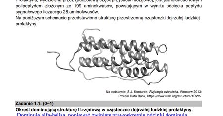 Matura 2021. Biologia rozszerzona. Mamy arkusze i odpowiedzi. Zobacz, jak ci poszło