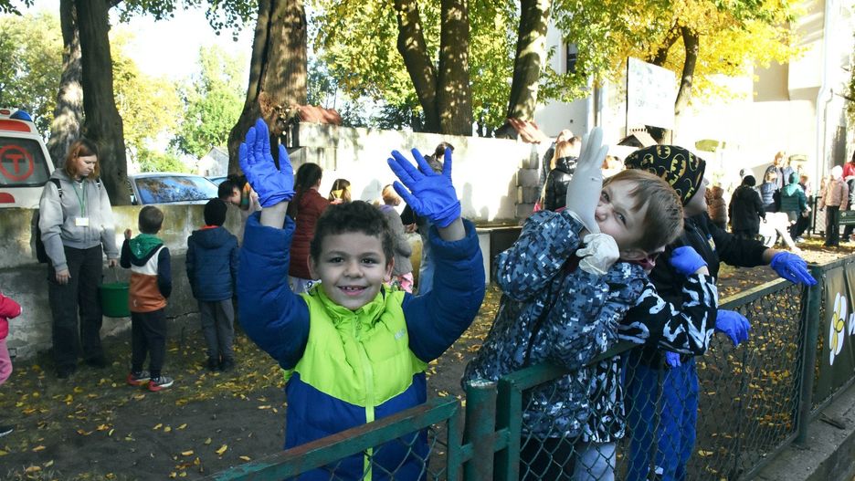 Żonkile posadzone przy siedzibie PCZ. Pola Nadziei w Malborku