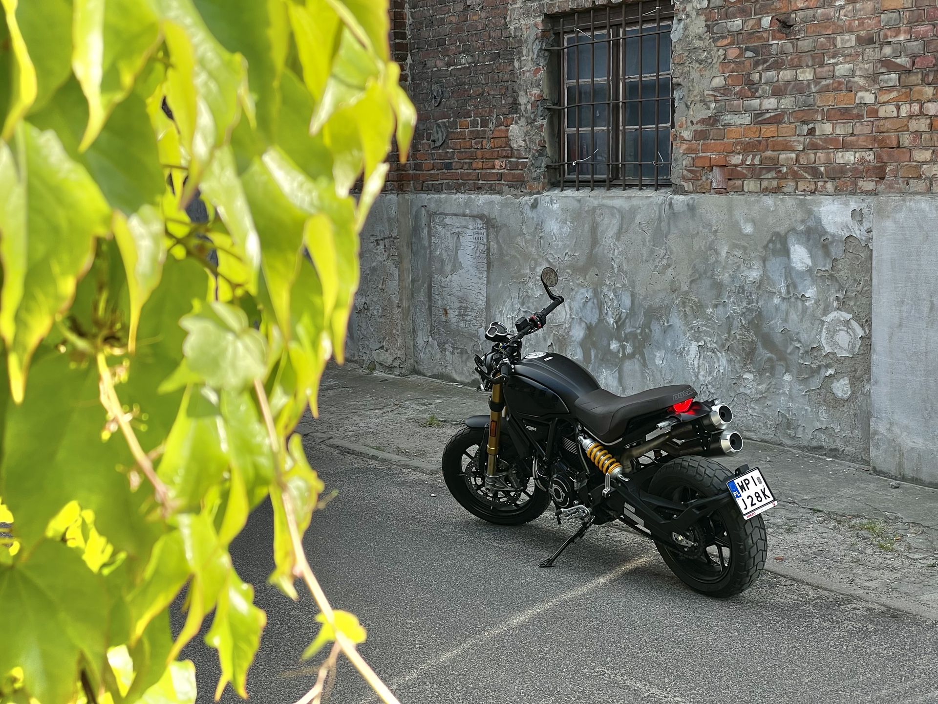 Ducati Scrambler 1100 Sport Pro