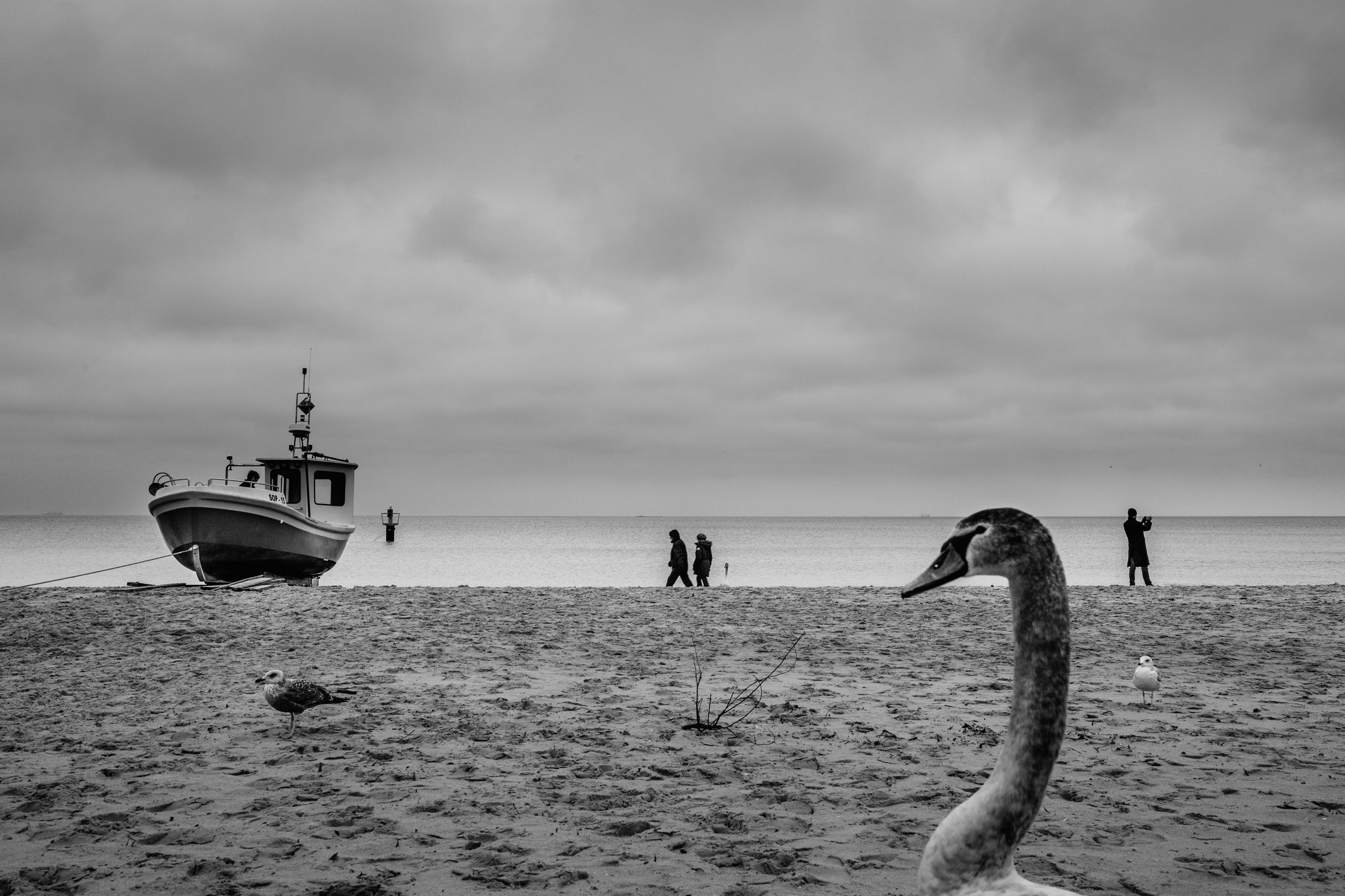 Zobacz najciekawsze z dotychczas zgłoszonych zdjęć w konkursie Sony World Photography Awards 2016 4