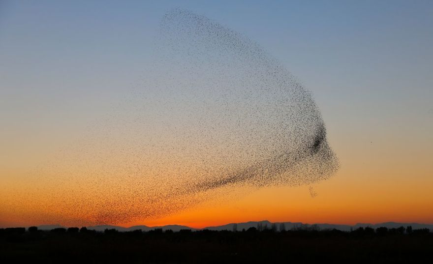 Fotograf zrobił niesamowite zdjęcia - nie zdawał sobie z tego sprawy, dopóki nie zobaczył ich w domu 2