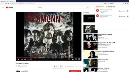 Ant Video Downloader