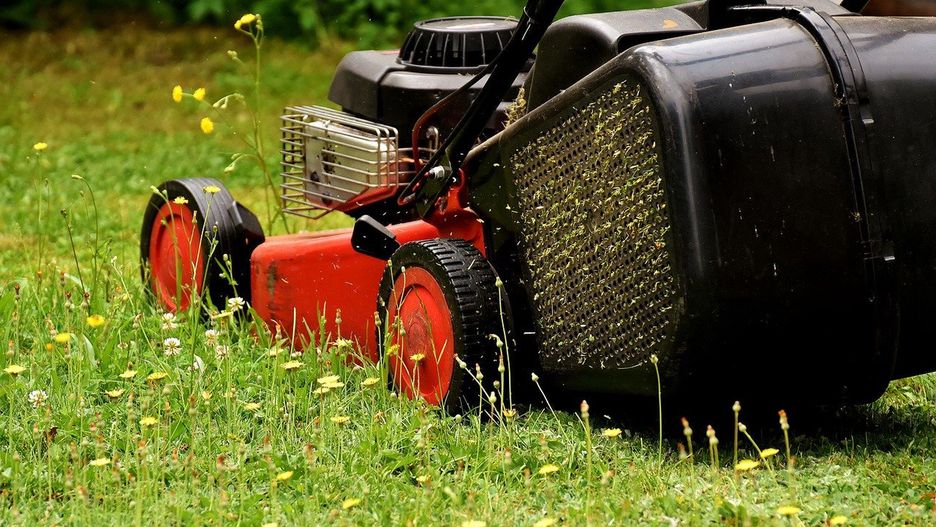 Elektryczne i spalinowe kosiarki sprawdzą się na różnych podwórkach