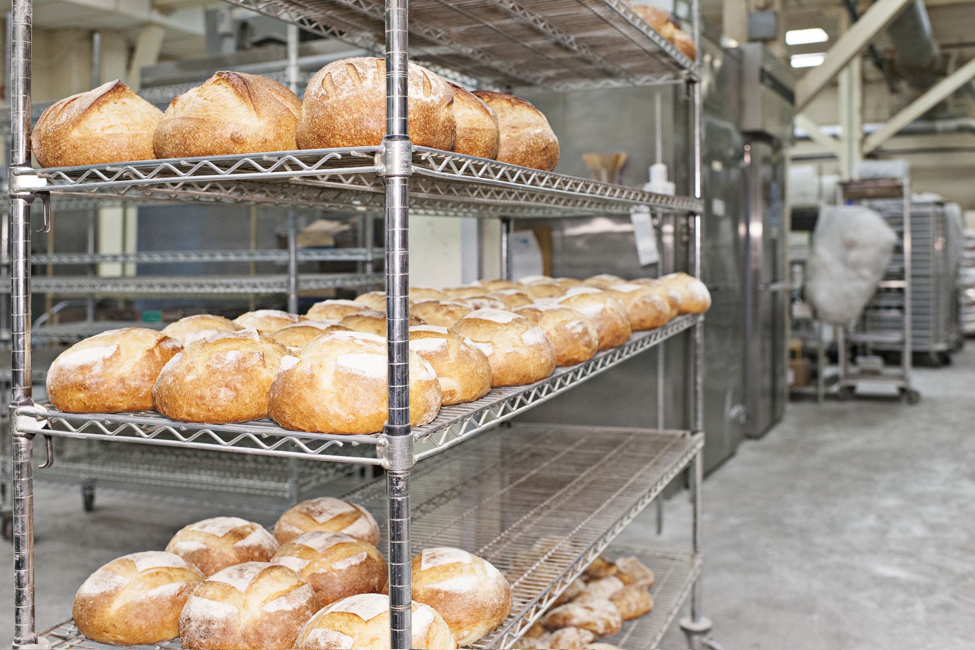 Piekli Polakom chleb. Sześciu migrantów wydalonych. Reszta czeka dalej