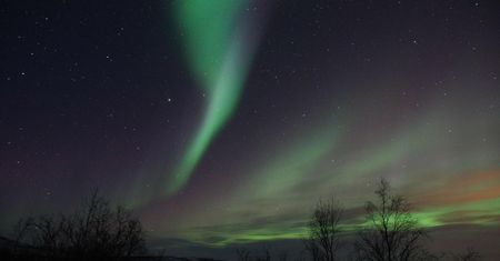 Zorze polarne nad Polską. Jak powstają i czy są bezpieczne?